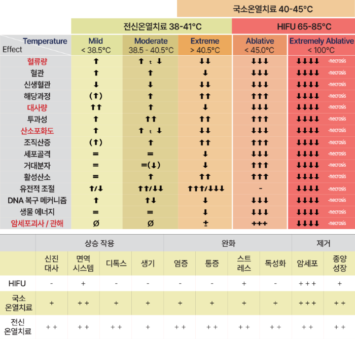 온열치료 비교표