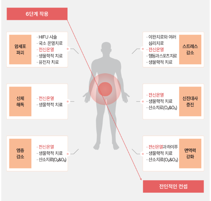 시스테믹 온열치료의 효과 다이어그램